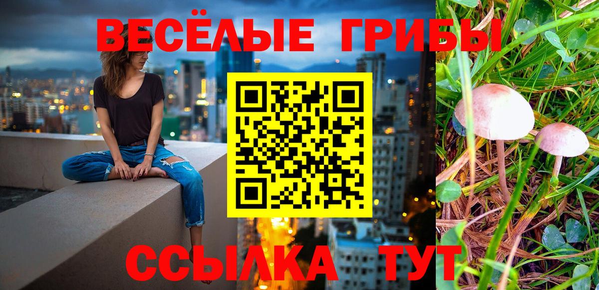Галлюциногенные грибы прущие грибы Приморско-Ахтарск