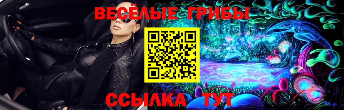 Псилоцибиновые грибы Magic Shrooms  Вход с VPN  Приморско-Ахтарск 